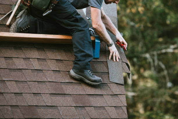 Best Roof Maintenance and Cleaning  in Bellville, TX